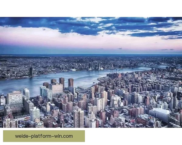 深度解析世界杯买球赔率变化规律与投注技巧全面指南